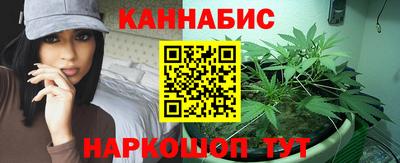 крисы Дмитров