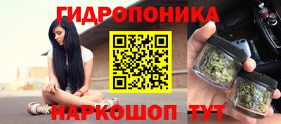 крисы Дмитров