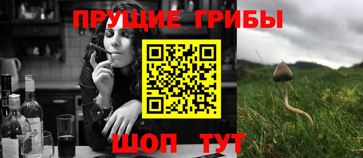Псилоцибиновые грибы Psilocybine cubensis  Вход с VPN  Гусиноозёрск 